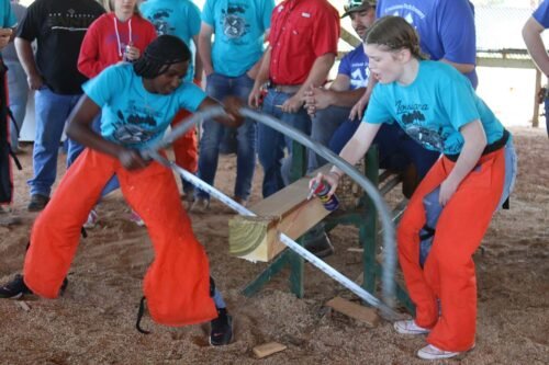 Louisiana Forestry Festival Winnfield Lets Geaux Louisiana 2024